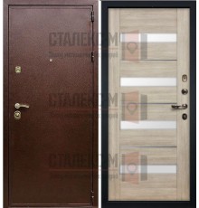 Металлическая дверь Порошок- МДФ -19