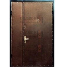 Тамбурная дверь Винилискожа -2